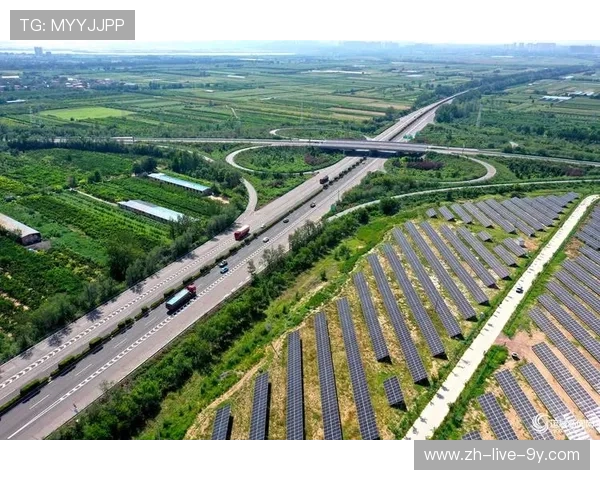 探索电竞职业联赛发展路径与未来产业生态体系构建研究