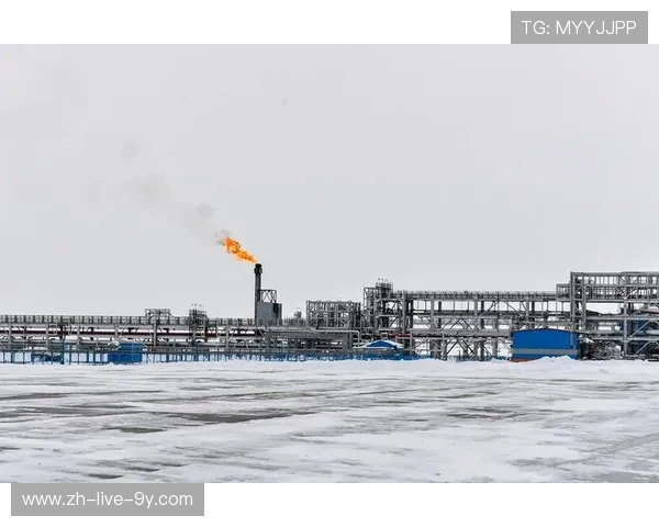 亚马尔地区的资源开发与国际合作前景分析与展望